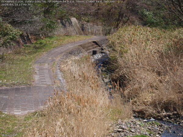 境川(別府市) 高速道路のやや下流の河川敷広場の様子