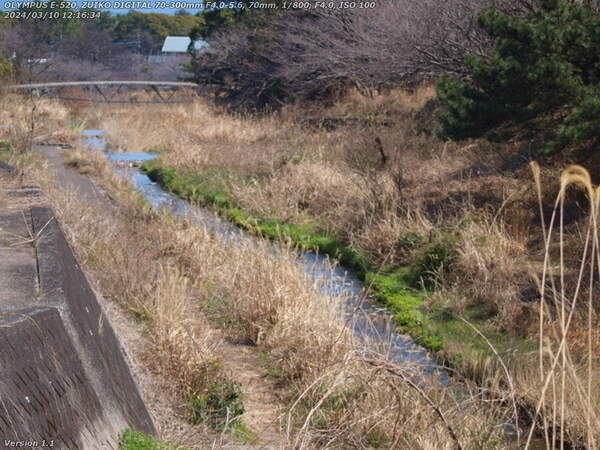 境川(別府市) イナコスの橋が見えてきた