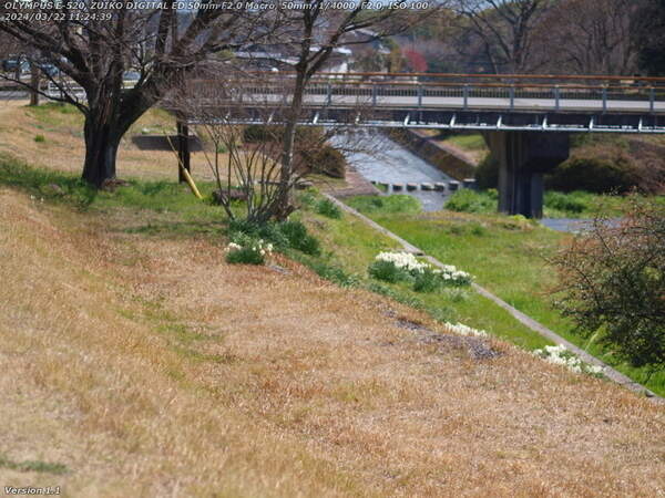 扇山町(別府市) 扇山町の道路を境川に沿って下る