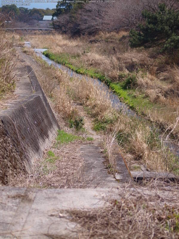 境川(別府市) イナコスの橋が見えてきた