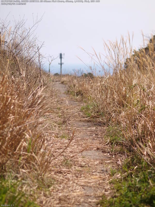 境川(別府市) 年明けから5月頃までしか通れない区間