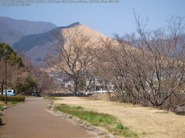 南立石二区(別府市) 扇山