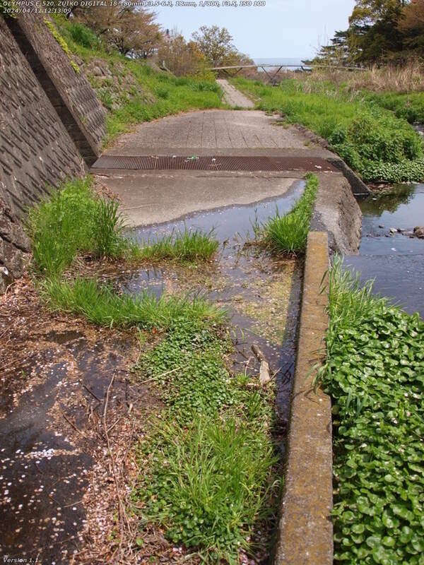 境川(別府市) 歩道は水浸しなので縁の上を歩く