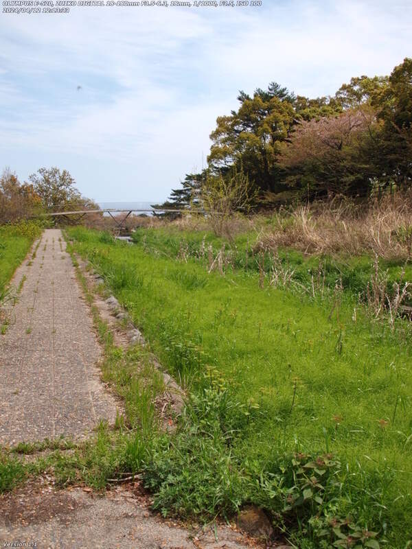 境川(別府市) 河川敷広場の左岸を下る