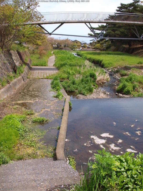 境川(別府市) イナコスの橋のすぐ上流にも水浸し箇所がある