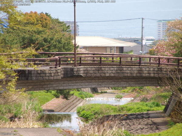 境川(別府市) であい橋