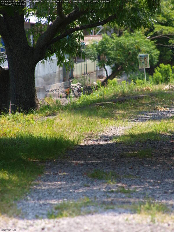 南立石二区(別府市) 西別府橋の脇から境川の土手上の未舗装路に入る