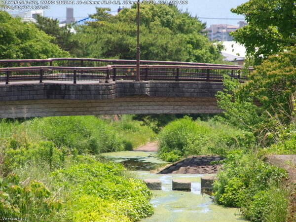 境川(別府市) であい橋