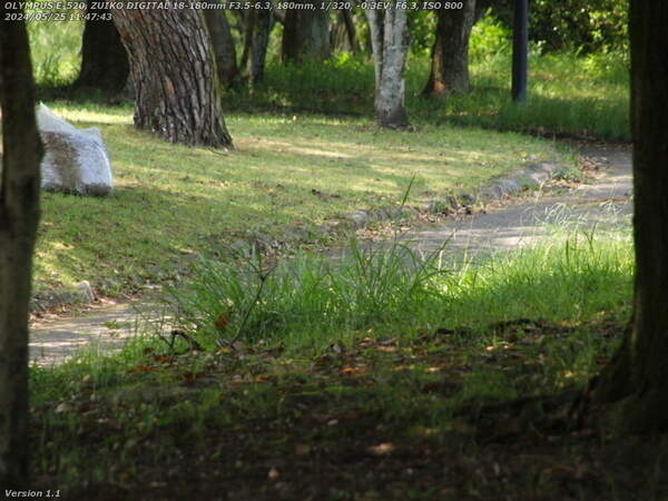 南立石公園(別府市) 南立石公園を境川沿いに上流へ進む
