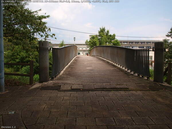 南立石公園(別府市) イナコスの橋へ進む