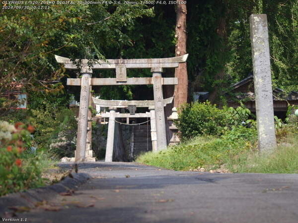 生目神社(別府市) 生目神社の鳥居