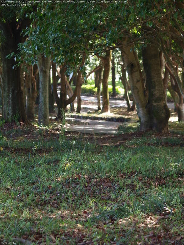 南立石公園(別府市) 南立石公園を境川沿いに下流へ進む
