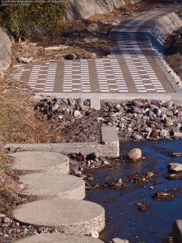 境川(別府市) 河川敷広場の左岸を下流へ進む