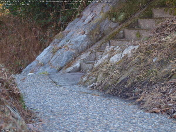 境川(別府市) 右岸では砂防ダムを越えられないので階段で南立石公園へ