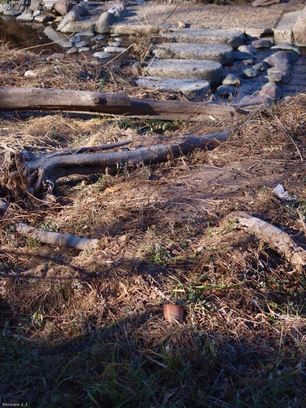 境川(別府市) 南立石公園への階段の途中から見る河川敷広場の飛び石