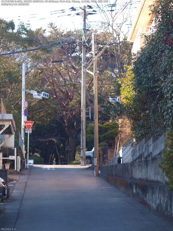 南荘園町(別府市) 南荘園町の住宅地を進む
