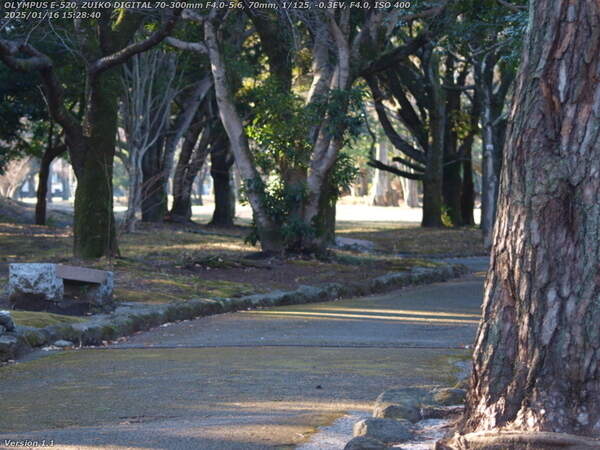 南立石公園(別府市) 冬の南立石公園を進む