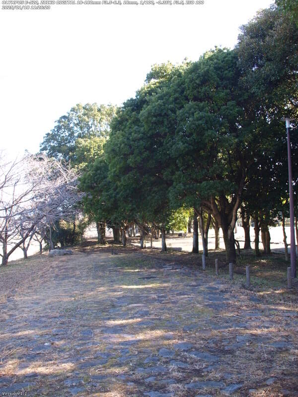 南立石二区(別府市) 南立石公園は目前