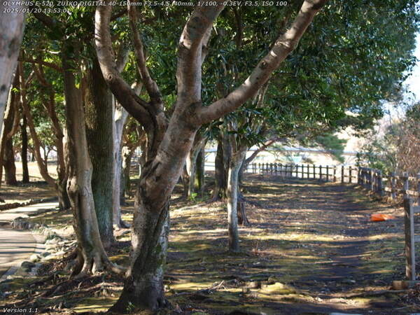 南立石公園(別府市) 南立石公園を境川沿いに上流へ歩く