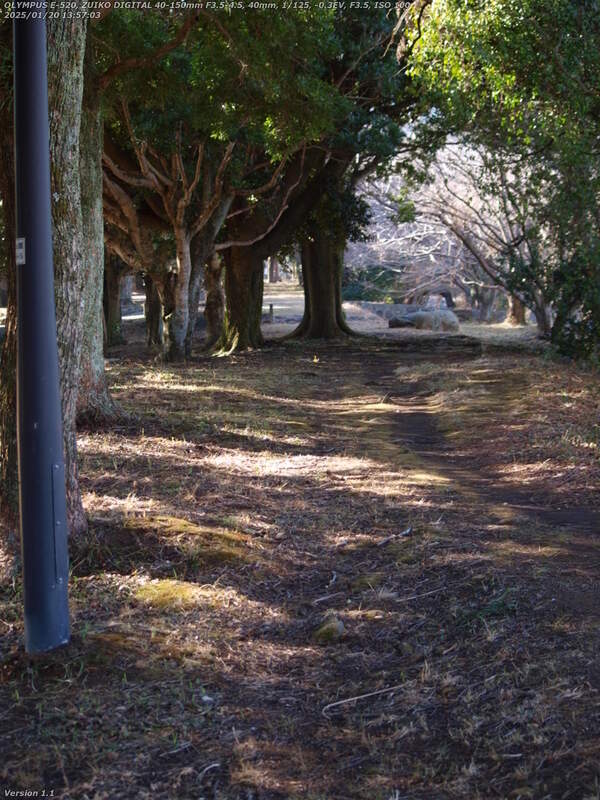 南立石公園(別府市) 土手上の遊歩道へ