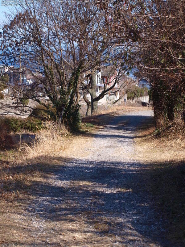 南立石二区(別府市) 境川の土手上の未舗装路を下る