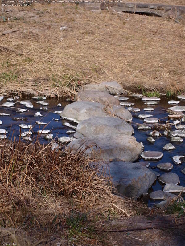 境川(別府市) 飛び石で対岸へ