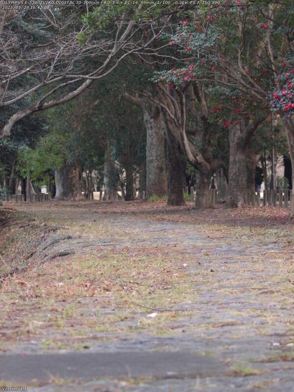 南立石二区(別府市) 境川の土手上の遊歩道で南立石公園へ向かう