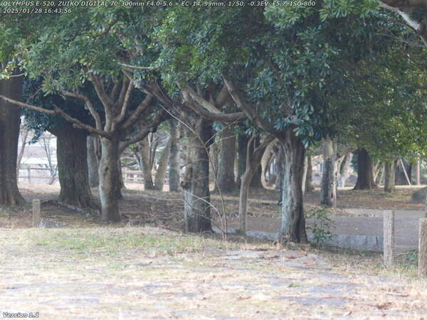 南立石二区(別府市) 南立石公園の入口