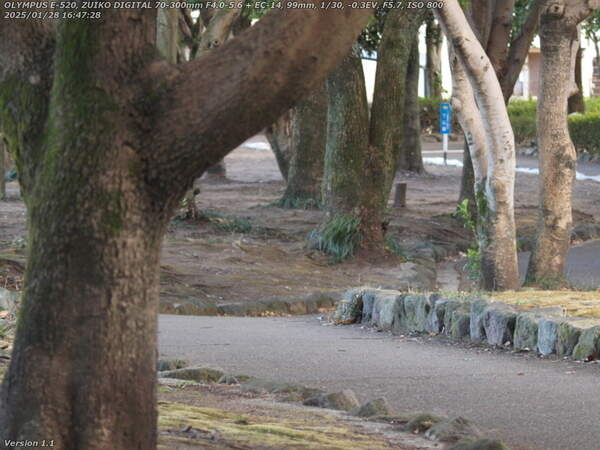 南立石公園(別府市) 境川沿いに下流へ歩く