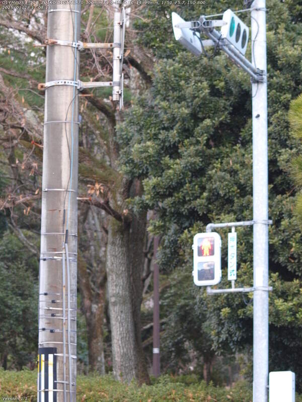 南荘園町(別府市) 信号機で鉄輪線を渡る
