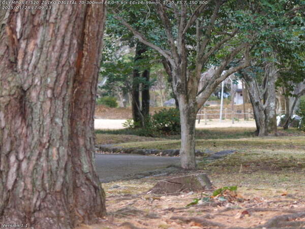 南立石公園(別府市) 日暮れ直前の南立石公園を進む