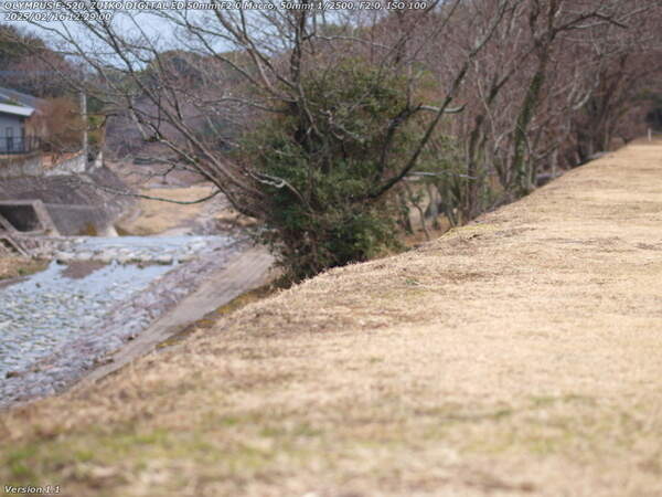 南立石二区(別府市) 境川の土手上の草地を下流へ進む
