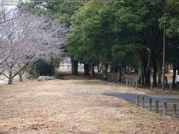 南立石二区(別府市) 南立石公園はもう目の前