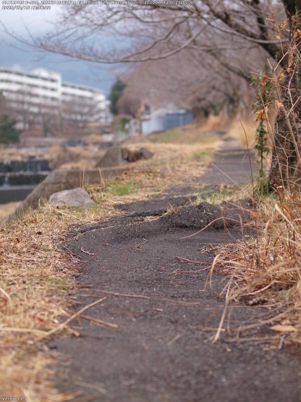 荘園(別府市) イナコスの橋のすぐ脇から始まる左岸の遊歩道