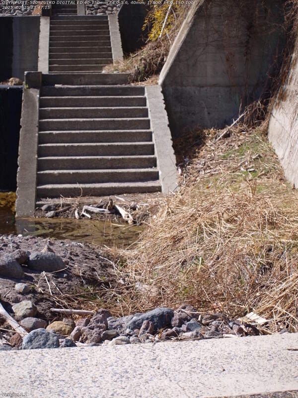 境川(別府市) 階段の手前は水没しているが壁際の土砂を歩ける