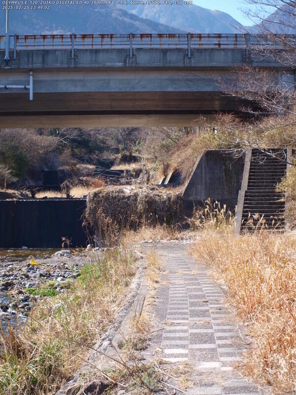 境川(別府市) 高速道路の真下は草ボーボーなので行く気になれない