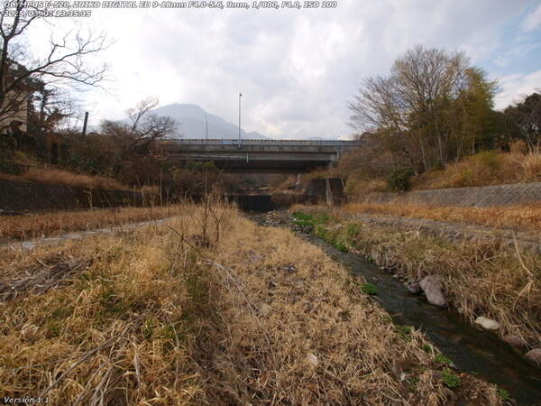 境川(別府市) 飛び石からの上流の眺め
