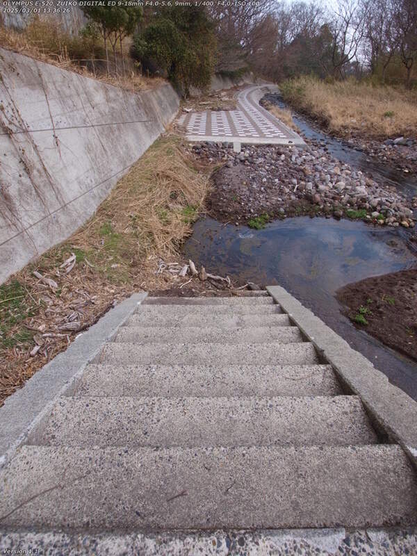 境川(別府市) 飛び石が水没しているため壁際の土砂の上を進む必要がある