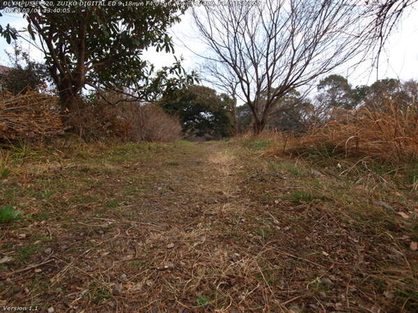 境川(別府市) 土手上の草地を進む