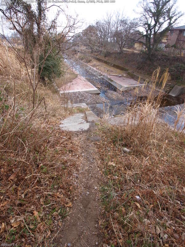境川(別府市) 踏み固められた草地を進むと階段が現れる