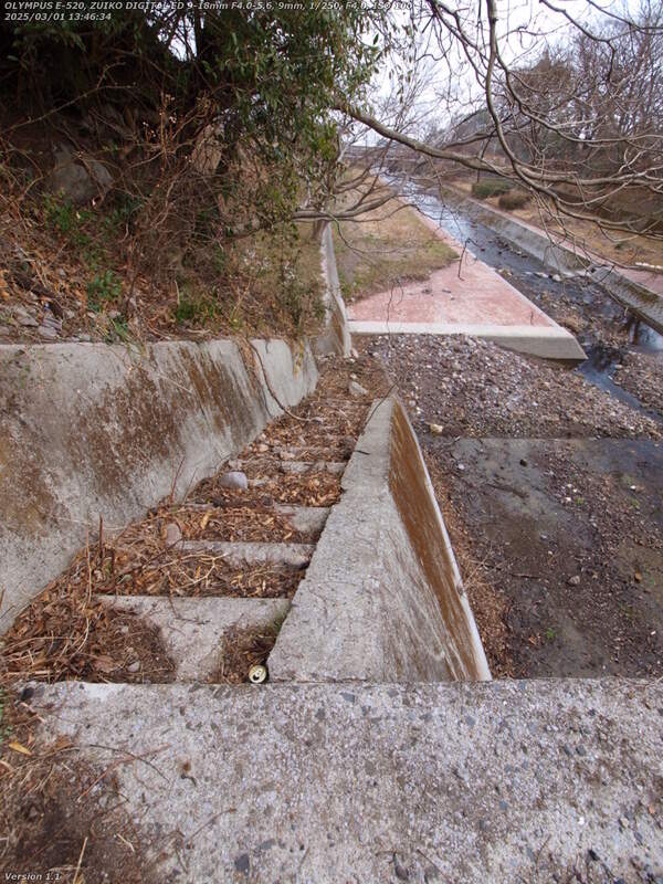 境川(別府市) 階段で砂防ダムを越える