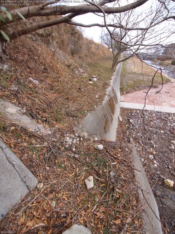 境川(別府市) 階段の先は土手の傾斜部分につながっている