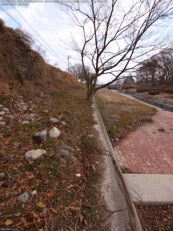 境川(別府市) 土手の傾斜部分を進む