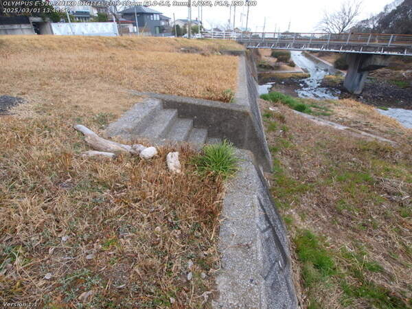 境川(別府市) 階段で河川敷広場へ下ることができるが西別府橋はくぐれないので意味はない