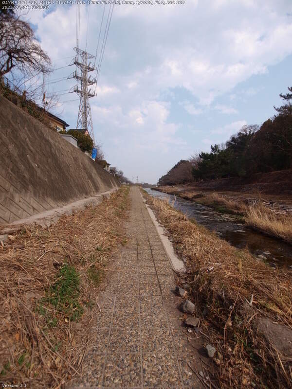 境川(別府市) 冬季以外は草ボーボーで歩けたものじゃない