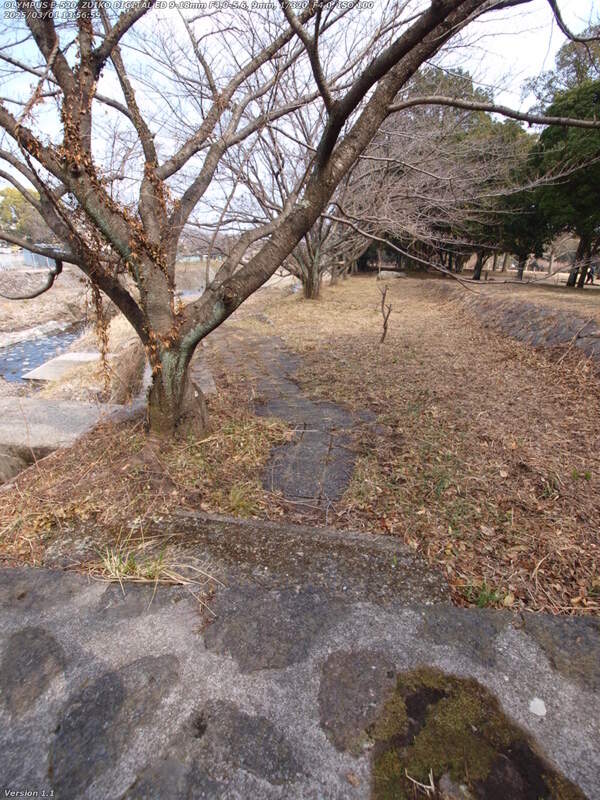 境川(別府市) 堤防の袖を越える