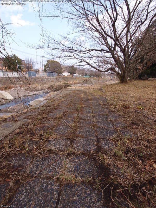 境川(別府市) 河川敷広場への歩道