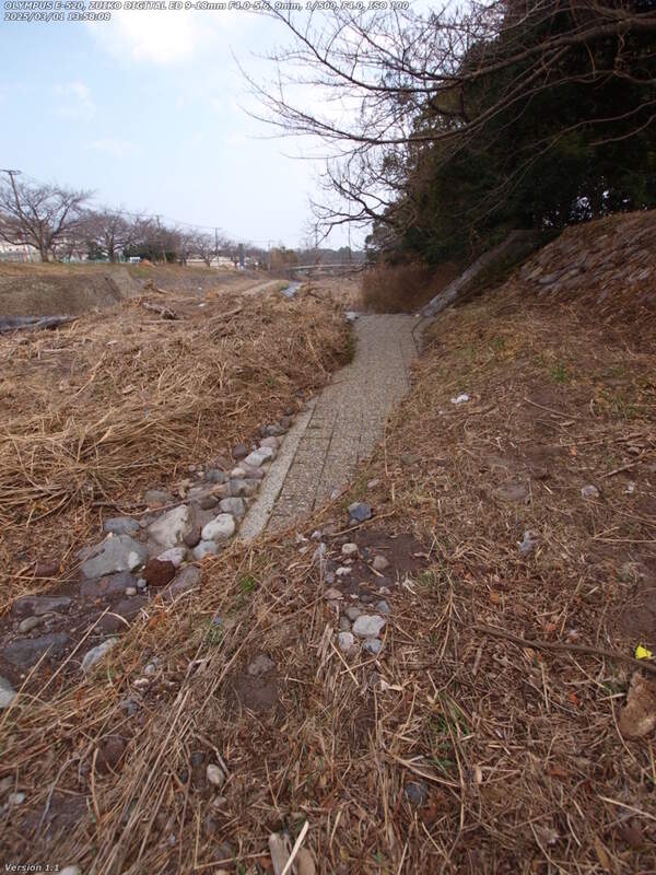 境川(別府市) 河川敷広場の歩道は土砂で埋もれている