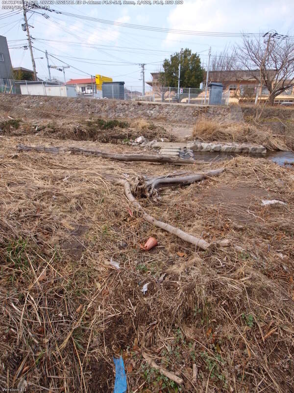 境川(別府市) 土砂の先には飛び石がある