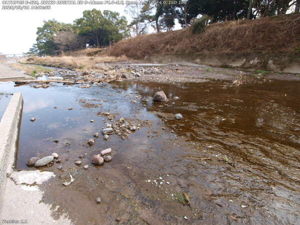 境川(別府市) 川の中を歩いて進むことはできそうだが靴が汚れそうなのでやめておく